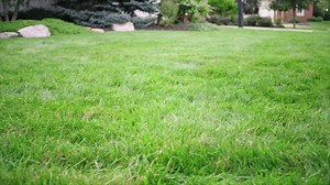 226K views · 522 reactions | No one knows your lawn like you do. Let us help turn that knowledge into something beautiful by growing thick, green grass. | Scotts Lawn Care | Facebook