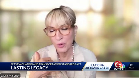 New Orleans animal rescue group still helping pets 20 years after Katrina