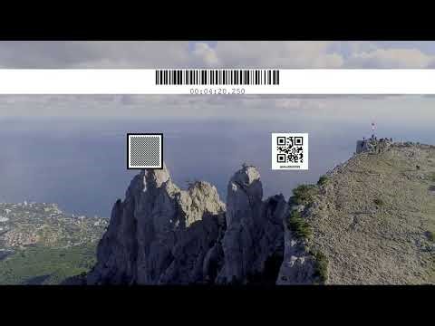 barcode 1 chess with audio