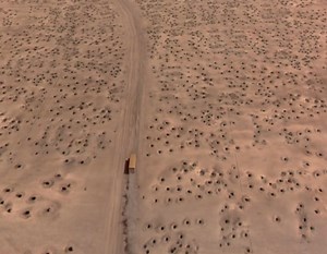 Exploring the Themes of 'Holes' - A Movie Review