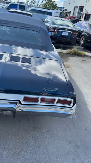 16K views · 10K reactions | 9 DAYS LEFT!!!! Tickets will be sold out!!! Next week!!! LINK IN BIO!!! | BlueMagic | Facebook