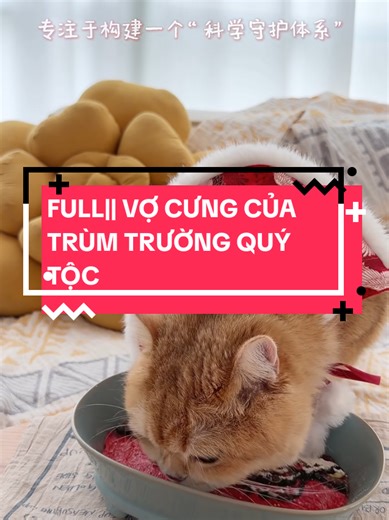 ˚୨୧⋆｡˚🎀 FULL|| VỢ CƯNG CỦA TRÙM TRƯỜNG QUÝ TỘC #audiongontinh #truyenaudiofull #truyenaudio #100kfollowers #truyenaudiofullhay
