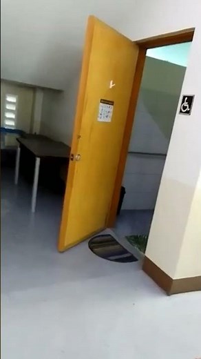 DreamWorks Penguins of Madagascar Movie