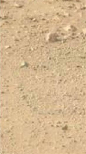 New Mars Image Captured by Perseverance Mastcam-Z