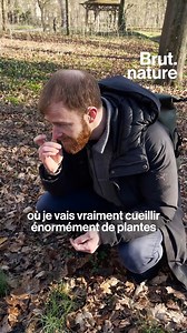 1M views · 2K reactions | Il donne goût à la nature… littéralement. Christophe apprend aux promeneurs à reconnaître les plantes sauvages comestibles que l'on peut croiser en forêt, mais aussi celles à éviter. Brut est parti à la cueillette… | Brut | Facebook