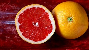 8 Fun Facts About Dr. Pimple Popper