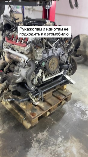 WAGinAudi_service on TikTok