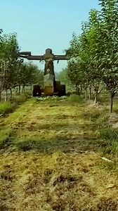 1.7K views · 569 reactions | 瘋狂修剪 #減壓視頻 #神奇的机器 #AmazingMachines | China Walk | Facebook