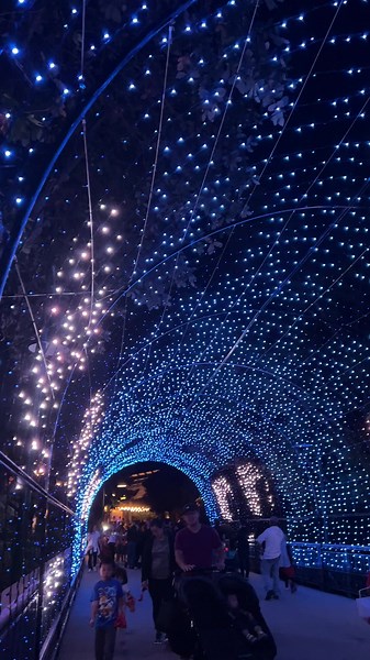 10K views · 651 reactions | The BOO Alley Light Tunnel is an all-new experience at Gilroy Gardens Halloween, and you really have to see it to believe it! Enjoy dazzling light displays with catchy tunes and even some of your favorite characters from The Great Big BOO! Gilroy Gardens Halloween is open this weekend and select dates through October 30. Don't miss out on this incredible, immersive, utterly unforgettable experience! gilroygardens.org/halloween | Gilroy Gardens | Facebook