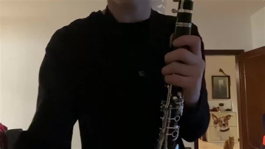 The Winner Takes It All Clarinet Cover