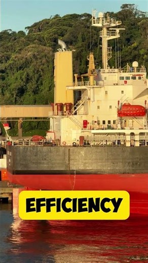 Discharging Operation of Handymax Union Glory #bulkcarrier #shorts #lifeatseaph #lifeatsea