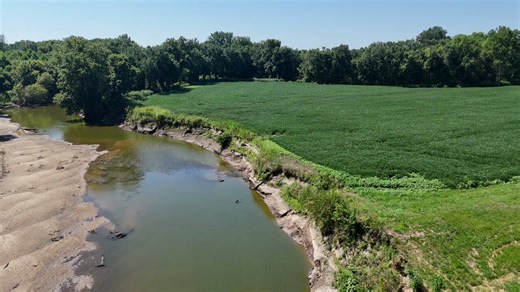 In Illinois, 1.5+ million acres of cropland are in the floodplain, 944,420 planted in corn. And you're subsidizing the crop insurance for when this land inevitably floods.Land that should be in riparian buffers and wetlands. Instead we're pushing for more corn ethanol.