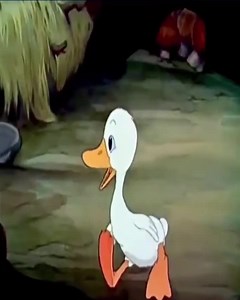 10M views · 263K reactions | Estas escenas nos ayudarán a comprender lo importante que es aceptar a los demás tal y como son respetando las diferentes especies.  No tenemos los derechos de autor sobre la música | Barrio De San Juan De Guadalupe | Facebook