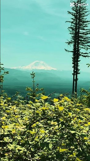 South Tiger Traverse Trail | Epic Mt. Rainier Views & Wildflowers Near Seattle