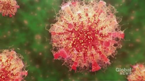 Ontario modelling warns of substantial growth in Omicron cases