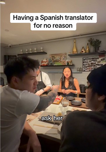 Spanish Translator for No Reason POV