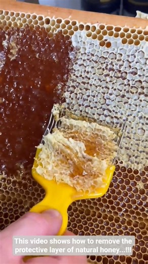 This video shows how to remove the protective layer of natural honey...!!!