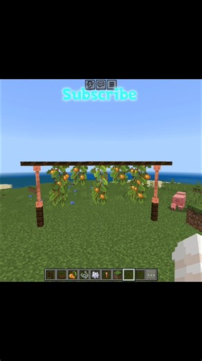Minecraft | Hanging Berry Vines