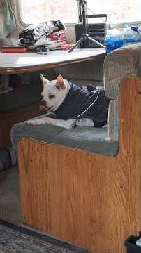 organized by me! #offgrid ##offgridlife #offgridMichigan #Michigan #ebike #ebikes #tiny #michigan