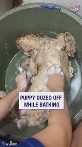 Bad day? This will heal your nerves🧘‍♂️ | HomeChic