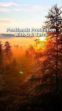 Mapping the Future: McGill University's Peatland Research with DJI Terra #dji #djiterra