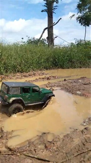 Amazing RC Car 4x4 Driving Through Water
