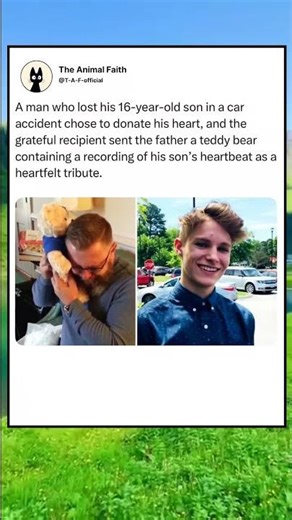 A father hears his son's heartbeat again—in a teddy bear from the heart recipient. 🧸❤️