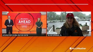 Steady storms in Florida as potential tropical system moves across the state