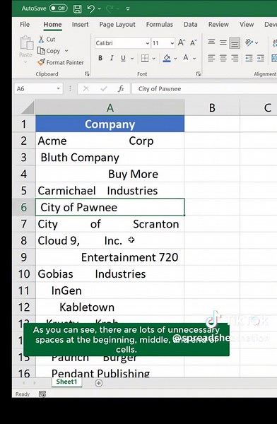 Use the TRIM function in Excel or Google Sheets to get rid extra spaces. #excel #workhacks #googlesheets