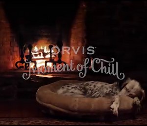 262 reactions · 54 shares | At Orvis, we love dogs as much as you do--and we know there’s nothing more relaxing and comforting than sitting with your best friend in front of the fire. And while the holidays can be the best time of the year, they come with a fair amount of stress, too. This season, don’t forget to take time to relax with your best friend and to make a #momentofchill for yourself. | Orvis | Facebook