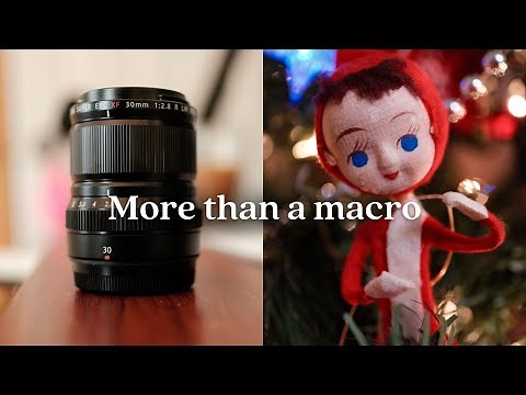 Fujifilm XF 30mm f/2.8 Macro: Sample Photos & Use Cases