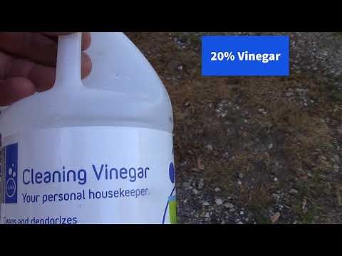 How to Kill Grass and Weeds in your Driveway and Lawn Safely, and Not Harm Your Children and Pets