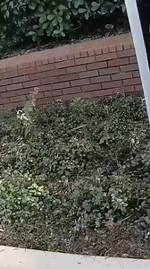 868K views · 5.4K reactions | electric-vehicles-are-fun- #trendingreels #fails #virals #Respect #bikelife #showtime #Amazing #vrial #short #biker | Jesse Dew | Facebook