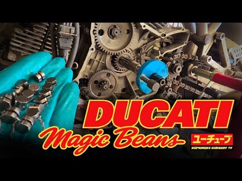 I Traded the “Unfixable” Ducati 1000DS for a Handful of Magic Beans