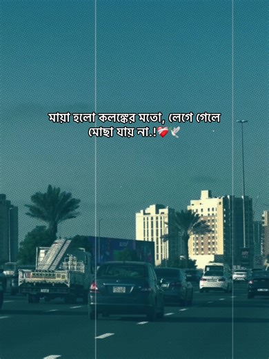 Unfreeze Your TikTok Account in Bangladesh