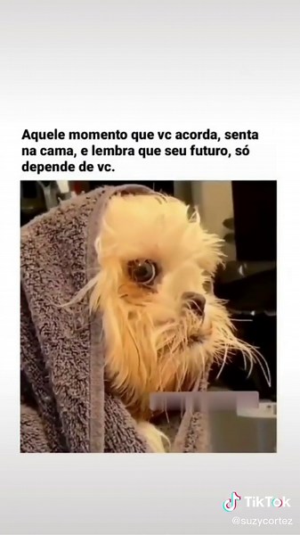 Suzy Cortez no TikTok