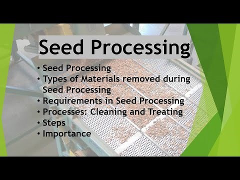 Seed processing/Requirement/ Process involved/steps/Importance