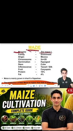 “Maize Crop Production 🌽 | Full Chapter Explained | Easy Notes + Process”