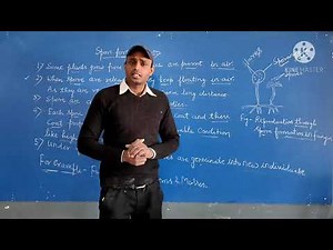 Class 7 Science Chapter 12 Reproduction in Plants