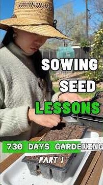 Sowing seed lessons I learned through gardening in 730 days |Garden vlog| Part 1
