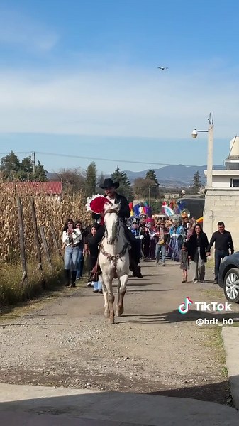 Pedida de mano: Tradiciones y emociones