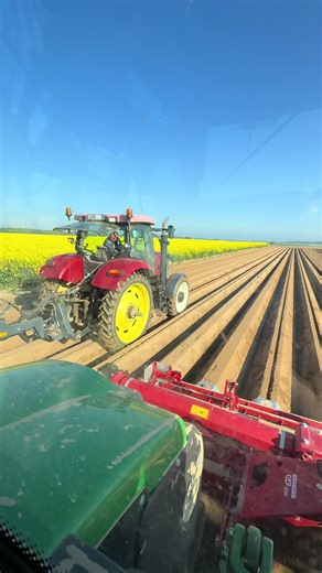 Plantation de PDT 2026 : Semis et Techniques Agricoles