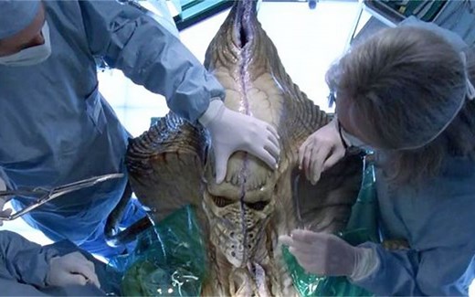 51区科学家解剖外星人，打开脑袋一看，发现了外星人的秘密