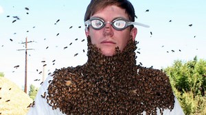 University Entomology Instructor gets a bee beard