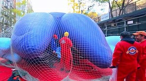 'Bluey Popped': Livestream Captures Moment Beloved Character Ran Into Trouble While Being Inflated