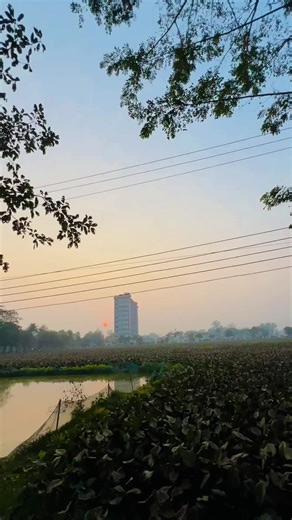 Capture Stunning Moments with iPhone 13 Pro Max