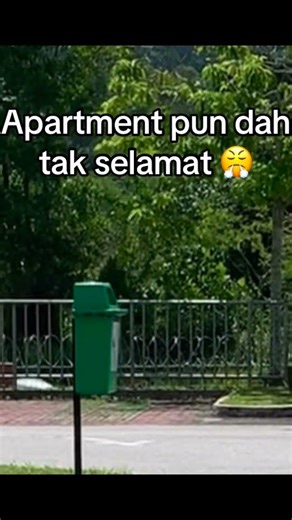 Monyet vs apartment #nyet #monyet #planetapes #monkey #housing #monkeybone #apartment #planetofapes