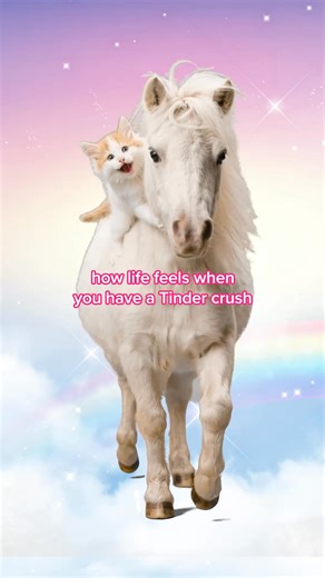 Find your next crush on Tinder. | Tinder