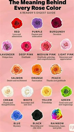 Meaning of Flower Colors: Understanding Your Personality Through Colors