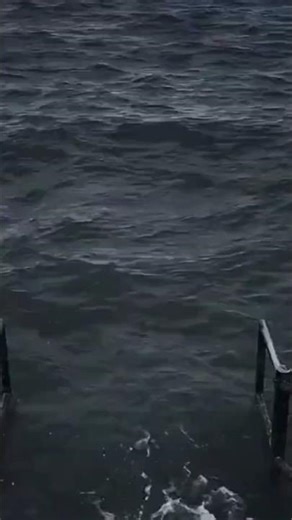 Xin Chào. #anime #muse #manga #shorts